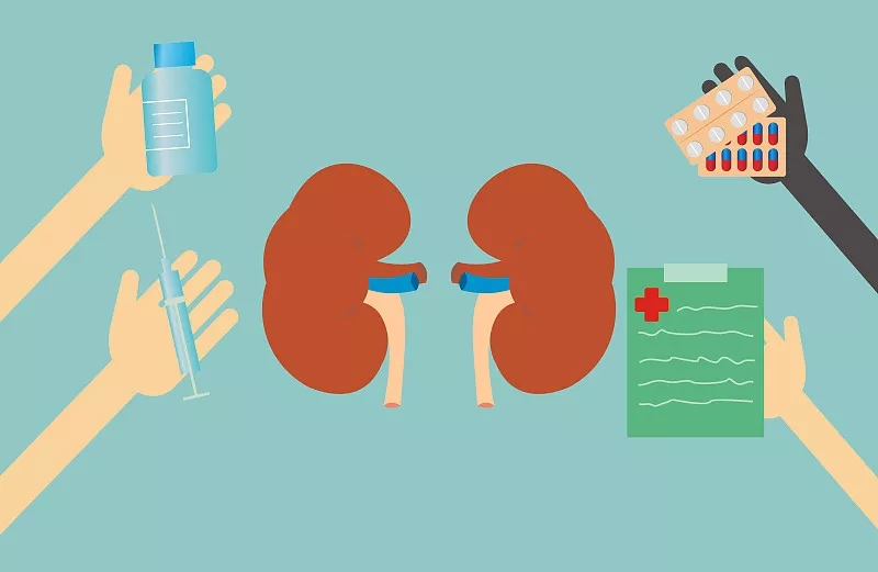 間充質(zhì)干細(xì)胞治療糖尿病腎病的潛力概述