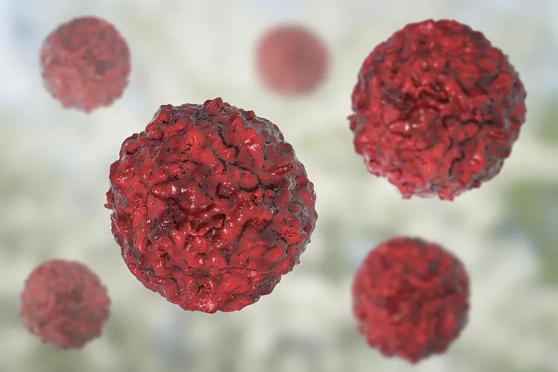 臍帶間充質干細胞的生物學特點? 臍帶間充質干細胞的生物學特點?