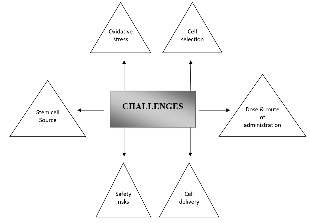 圖2：干細胞治療糖尿病腎病過程中的挑戰