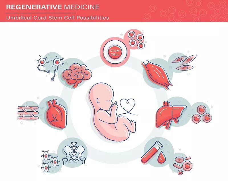 臍帶間充質干細胞對于多種疾病的治療機理