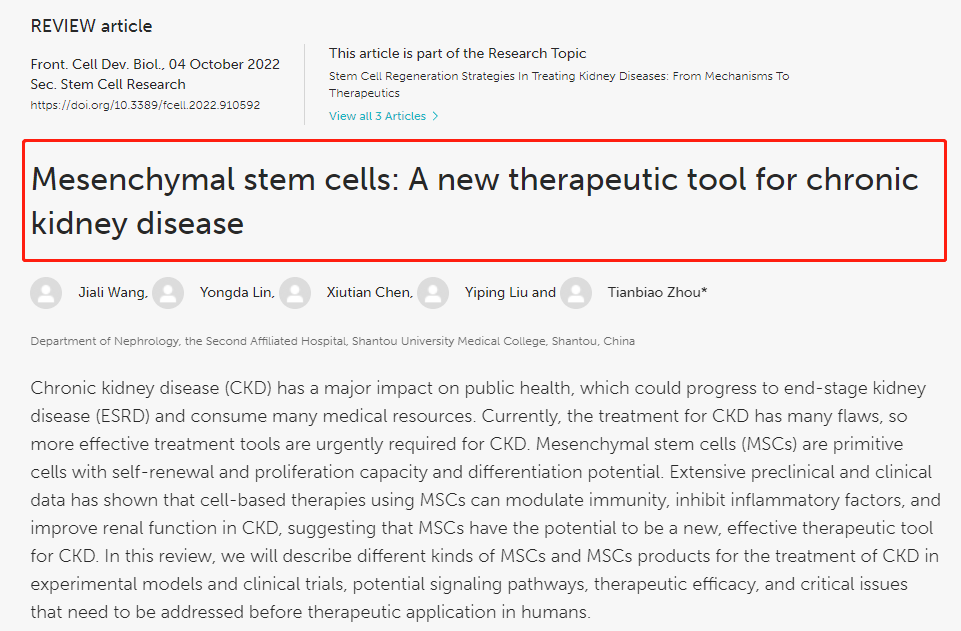 間充質(zhì)干細(xì)胞治療慢性腎病的文獻(xiàn)綜述 間充質(zhì)干細(xì)胞治療慢性腎病的文獻(xiàn)綜述