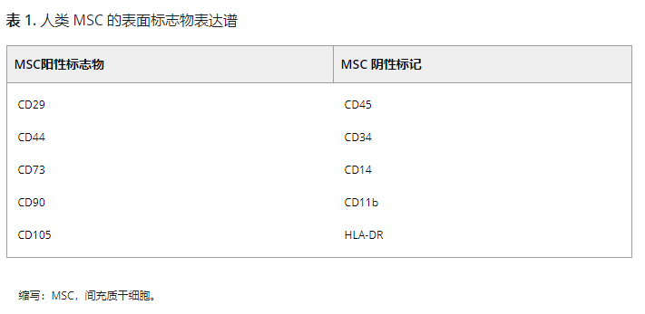 人類MSC的表面標志物表達譜 人類MSC的表面標志物表達譜