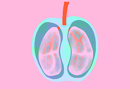 01 呼吸系統(tǒng)/肺部疾病