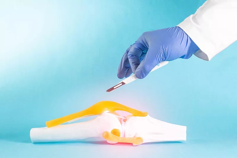 間充質(zhì)干細(xì)胞在人類(lèi)半月板修復(fù)中的潛在用途:當(dāng)前見(jiàn)解