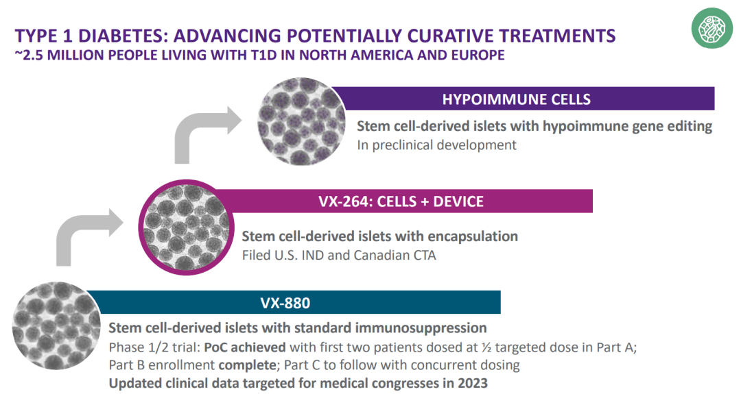 治療1型糖尿病!Vertex干細(xì)胞療法獲FDA批準(zhǔn)臨床