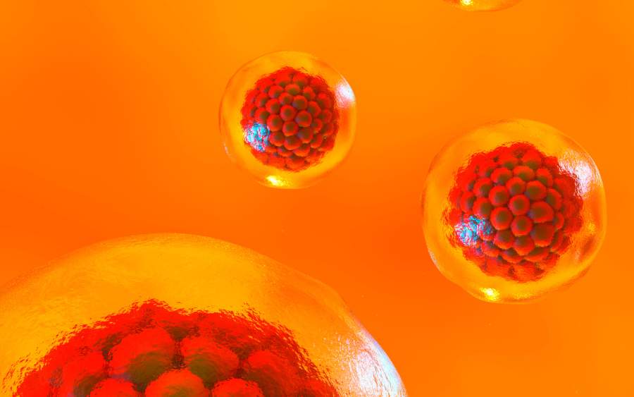 干細胞療法能持續多久？