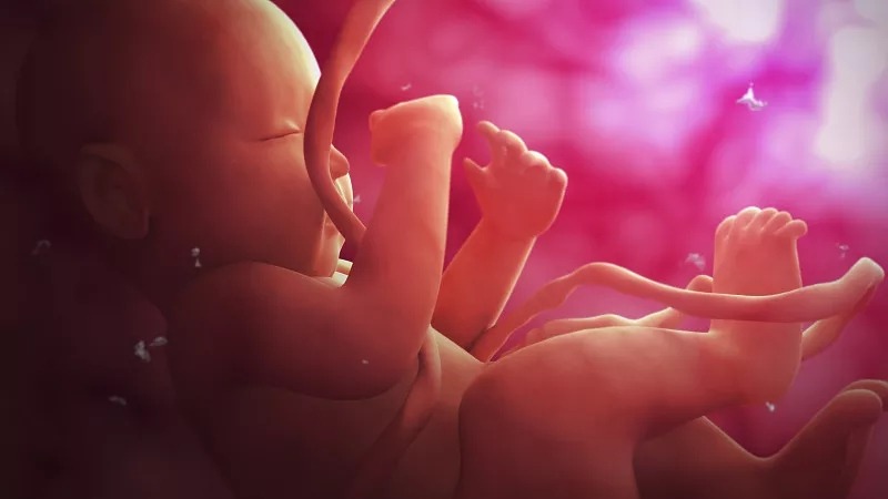 臍帶間充質干細胞的作用和功效是什么？在哪些疾病具有臨床應用價值？