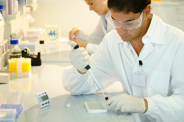 什么是干細(xì)胞？關(guān)于一系列干細(xì)胞的簡短知識