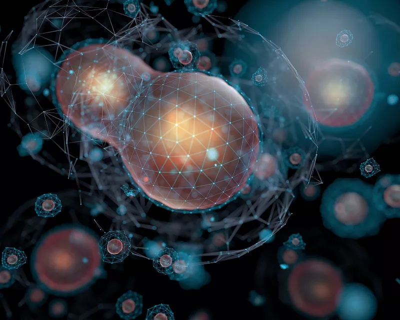 為什么對干細胞有爭議？