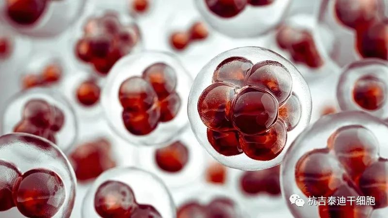 手足徐動(dòng)性腦癱的最新治療方法是什么? 手足徐動(dòng)性腦癱的最新治療方法是什么?