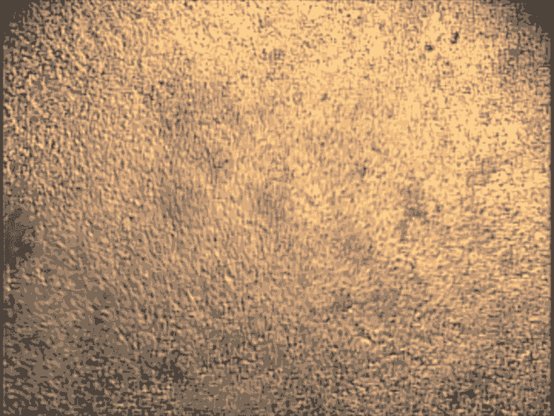 這些心臟細(xì)胞是從培養(yǎng)皿中的干細(xì)胞中培養(yǎng)出來的，可用于研究心臟的跳動(dòng)節(jié)律。