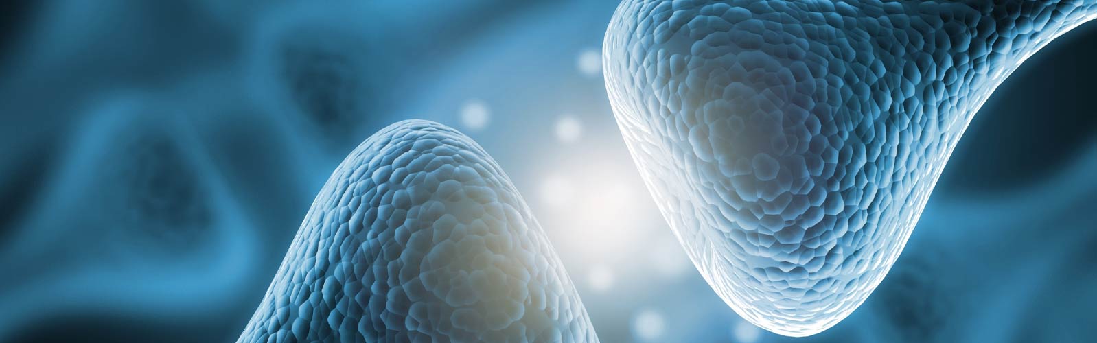 什么是帕金森病的替代療法? 什么是帕金森病的替代療法?