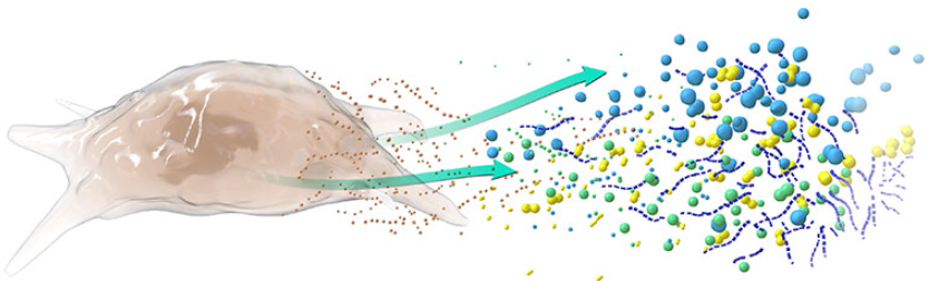 04角膜疾病 04角膜疾病