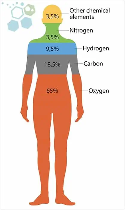 人體中最常見的元素 人體中最常見的元素