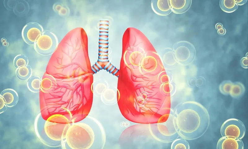 關(guān)于慢性阻塞性肺病(COPD)你需要知道的一切 關(guān)于慢性阻塞性肺病(COPD)你需要知道的一切