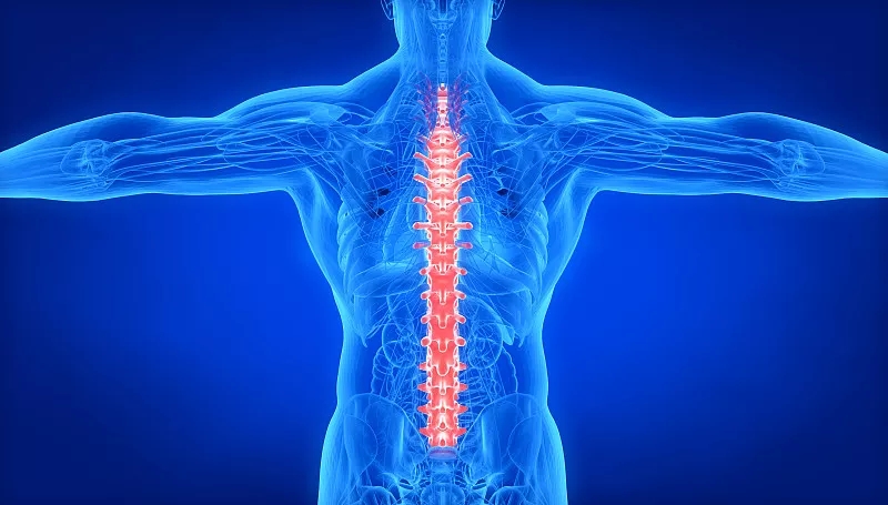 關于脊髓損傷和康復的常見問題 (FAQ)