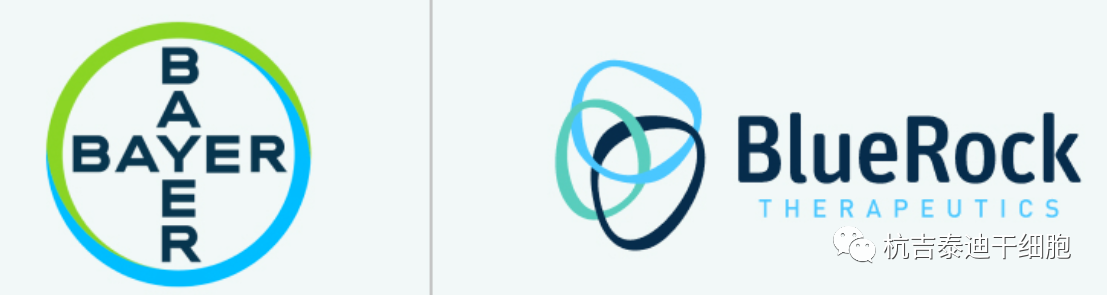 拜耳表示神經元干細胞療法治療帕金森?。菏讉€1期臨床試驗取得積極結果