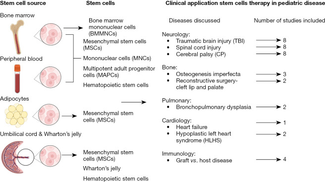 圖1：干細胞的來源和干細胞治療的臨床應用。