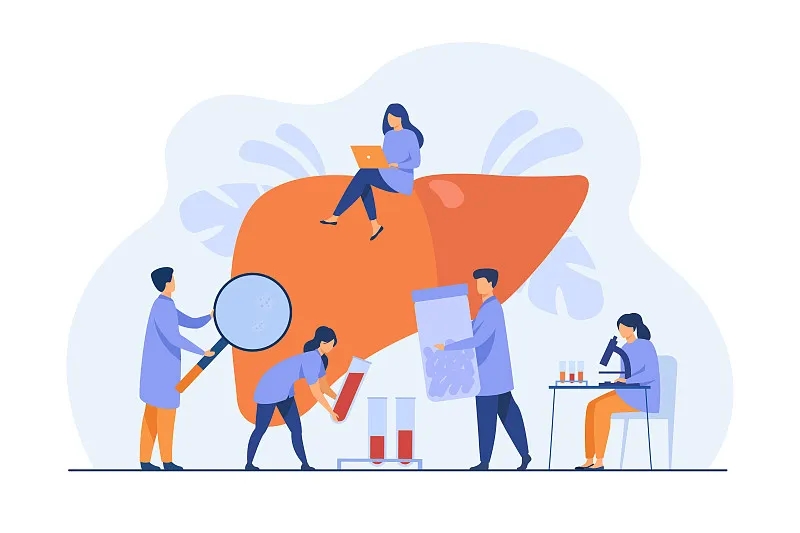 肝臟有什么作用? 肝臟有什么作用?