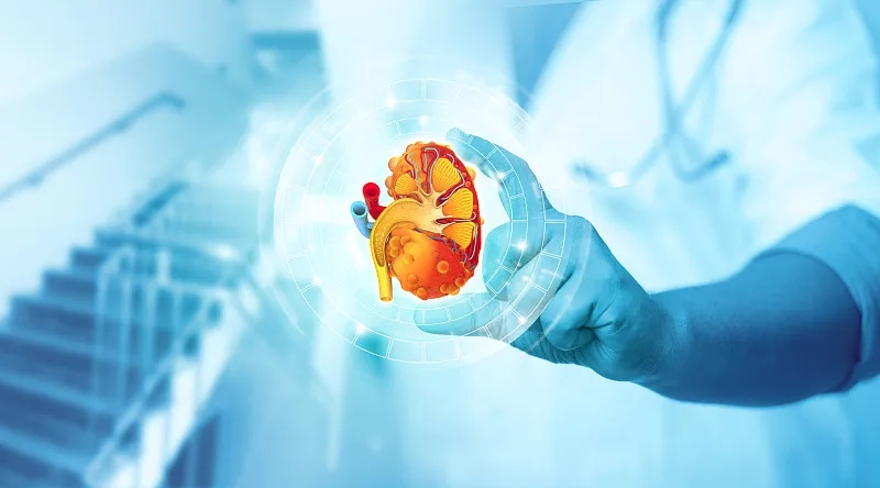 2型糖尿病與腎病的關系