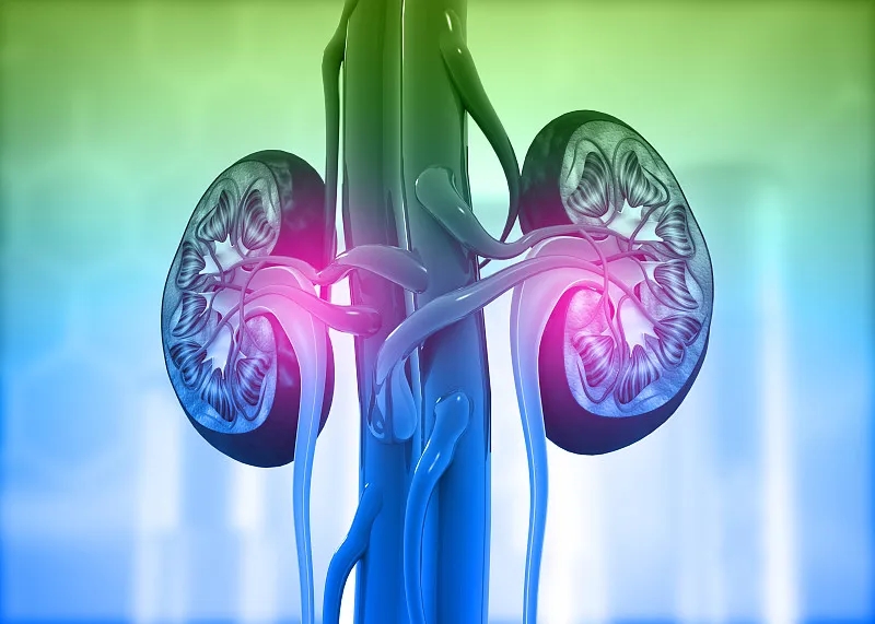 慢性腎病:癥狀-原因-危險因素 慢性腎病:癥狀-原因-危險因素