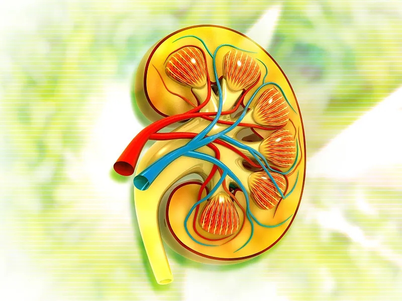 關于第3期腎病,您應該知道的一切