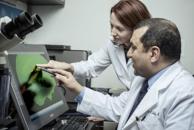 干細(xì)胞治療疾病 |  細(xì)胞療法是人類健康的未來(lái)的原因