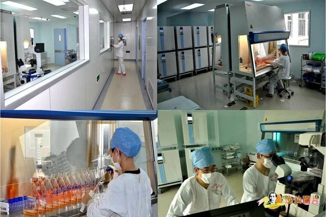 生物治療技術中心的GMP生產基地 生物治療技術中心的GMP生產基地