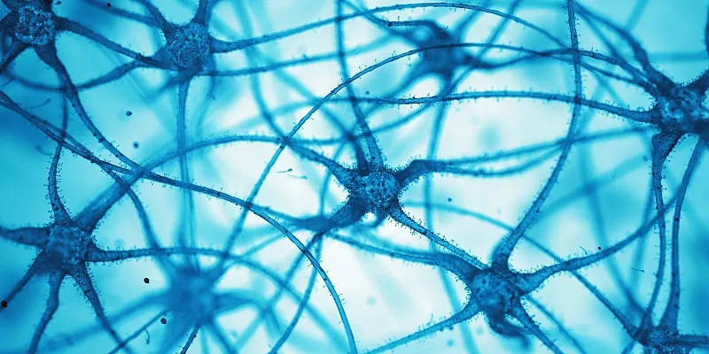 什么是神經(jīng)細(xì)胞？為什么它們很重要？