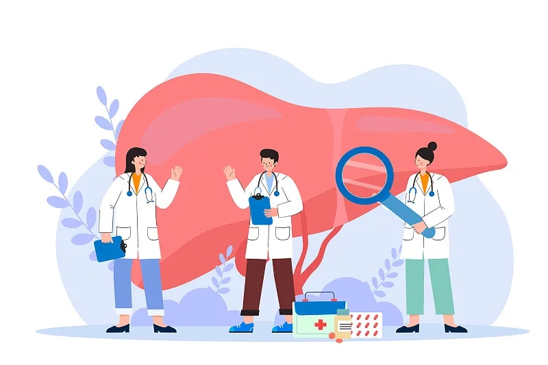 間充質(zhì)干細(xì)胞治療肝病的新視角:恢復(fù)線粒體功能 間充質(zhì)干細(xì)胞治療肝病的新視角:恢復(fù)線粒體功能