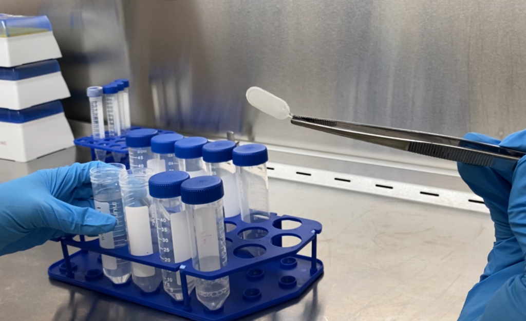 基于干細胞的療法為1型糖尿病患者制造胰島素 基于干細胞的療法為1型糖尿病患者制造胰島素
