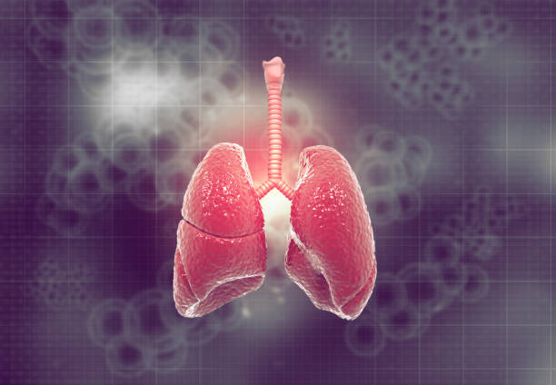 肺纖維化：干細胞治療是前進的方向嗎？