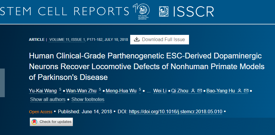 人類臨床級孤雌生殖 ESC 衍生的多巴胺能神經元可恢復非人類靈長類動物帕金森病模型的運動缺陷