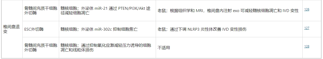 干細胞外泌體治療椎間盤退變