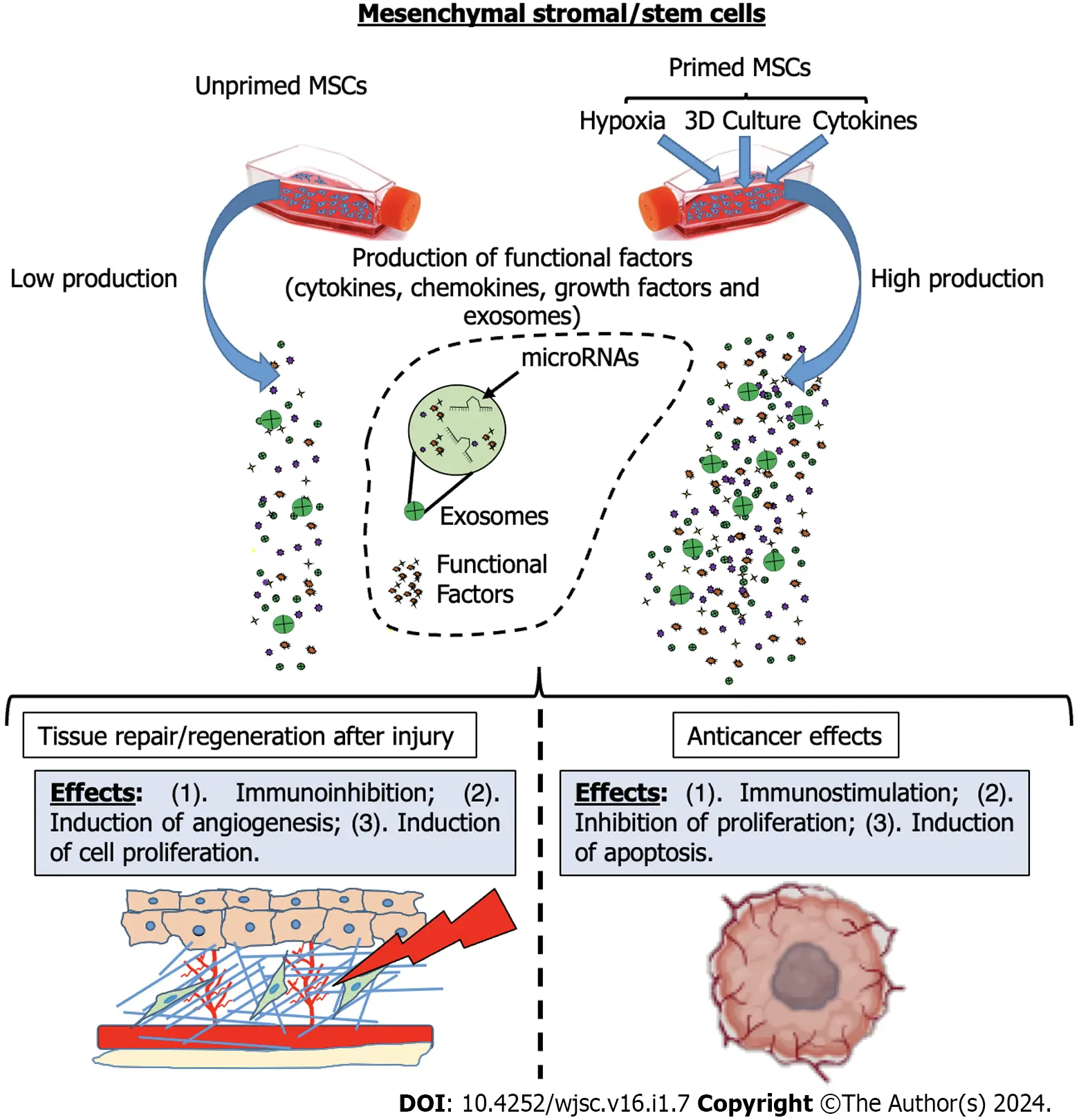 圖1:間充質(zhì)基質(zhì)/干細(xì)胞啟動后增強(qiáng)的治療效果的示意圖 圖1:間充質(zhì)基質(zhì)/干細(xì)胞啟動后增強(qiáng)的治療效果的示意圖