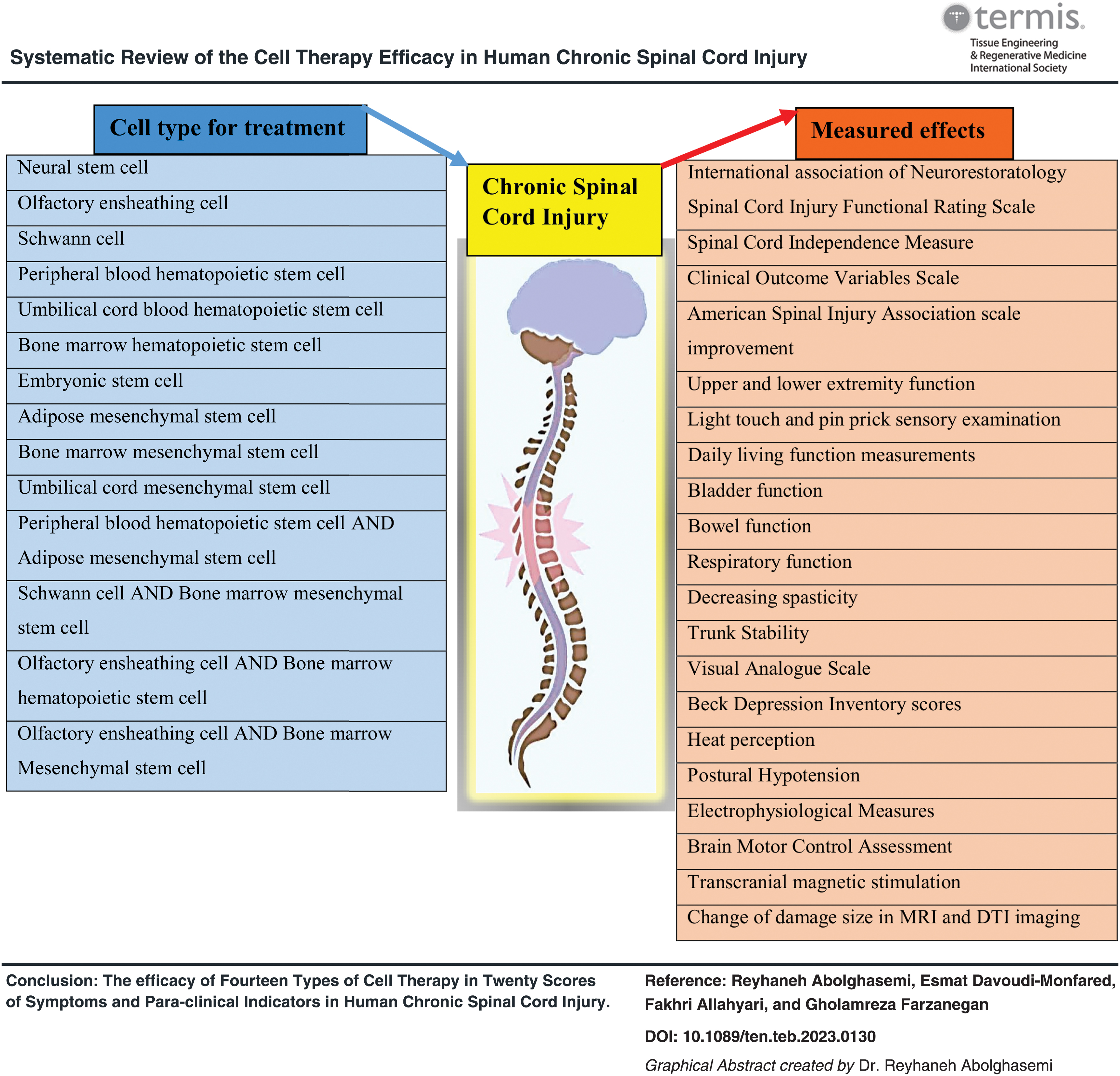 干細胞療法對人類慢性脊髓損傷療效的系統(tǒng)性綜述