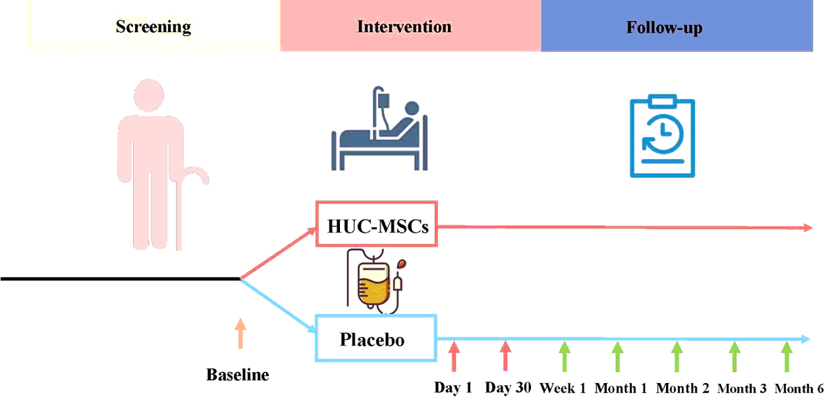 圖1:所有評估均在首次靜脈輸注HUC-MSC后1周、1、2、3和6個月時進行 圖1:所有評估均在首次靜脈輸注HUC-MSC后1周、1、2、3和6個月時進行