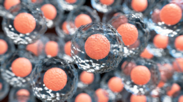 干細胞治療的平均費用是多少？