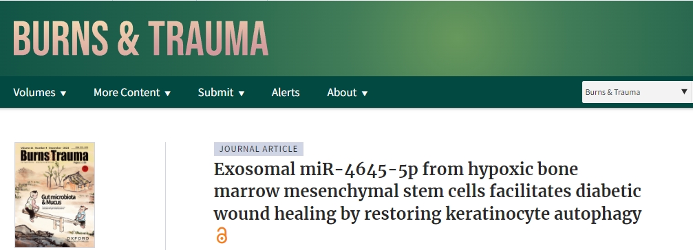 我國研究人員開創了用于糖尿病傷口愈合的新型干細胞療法