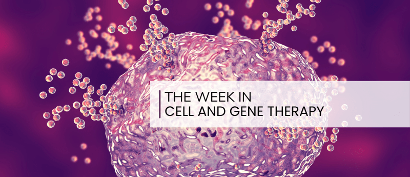 細胞療法周刊:將CAR-T的注意力轉向自身免疫性疾病 細胞療法周刊:將CAR-T的注意力轉向自身免疫性疾病