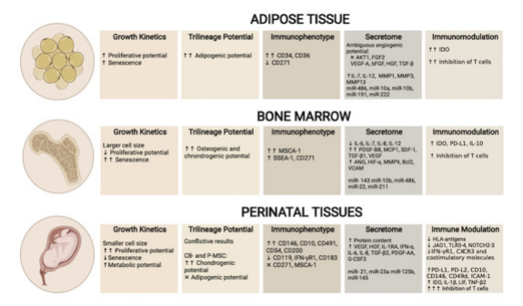 △?UC-MSC、AT-MSC及BM-MSC生物差異性對比，圖中額外增加表面標(biāo)志物對比