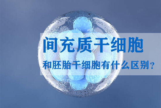 間充質干細胞和胚胎干細胞有什么區(qū)別？