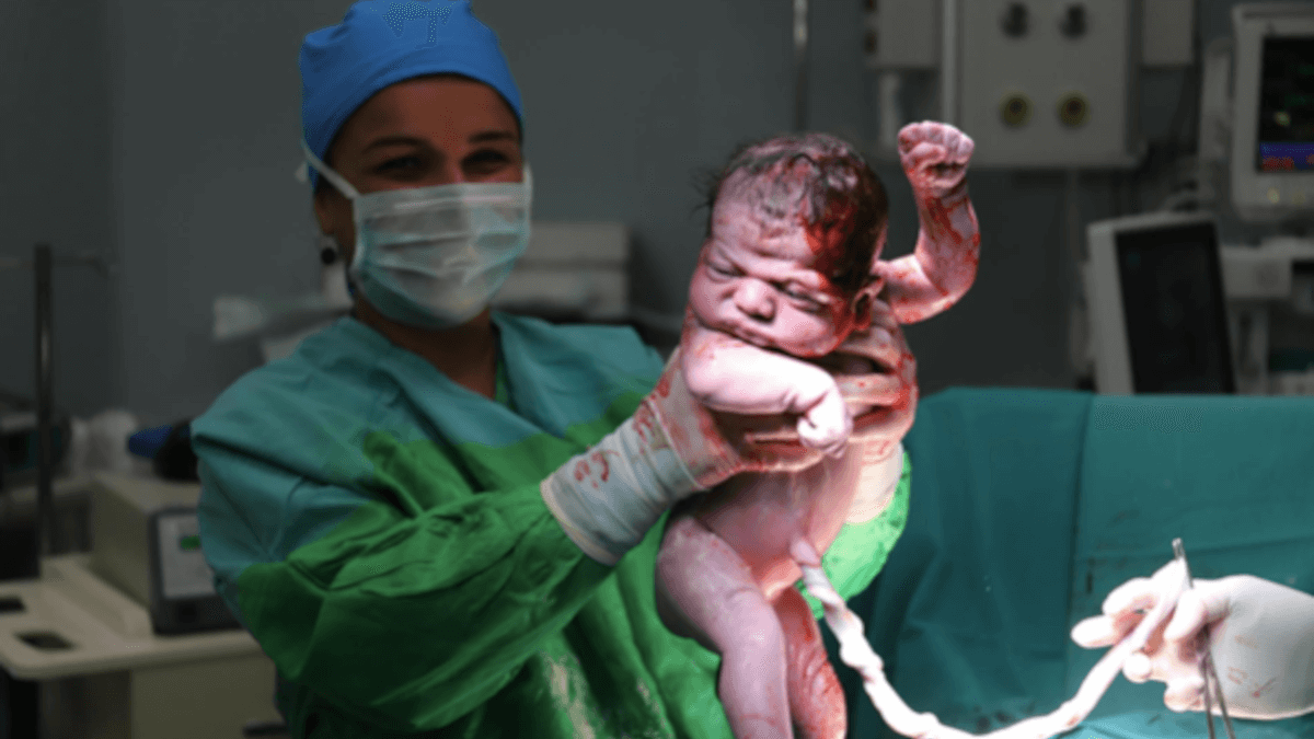 為什么我們選擇不使用胚胎細胞治療自閉癥? 為什么我們選擇不使用胚胎細胞治療自閉癥?