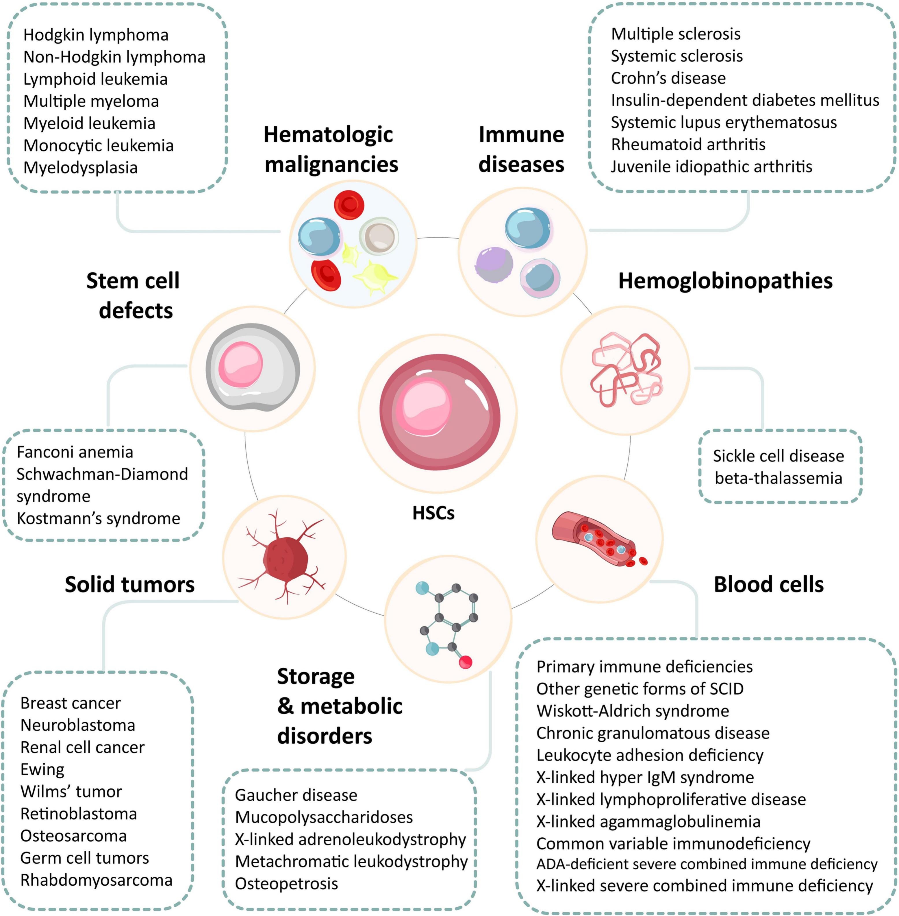 圖3:造血干細胞及其在治療血液和非血液疾病中的潛力。 圖3:造血干細胞及其在治療血液和非血液疾病中的潛力。