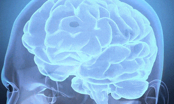 促進神經(jīng)再生 促進神經(jīng)再生