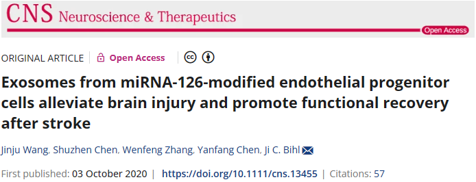 miRNA-126修飾內(nèi)皮祖細胞的外泌體可減輕腦損傷并促進中風(fēng)后功能恢復(fù) miRNA-126修飾內(nèi)皮祖細胞的外泌體可減輕腦損傷并促進中風(fēng)后功能恢復(fù)