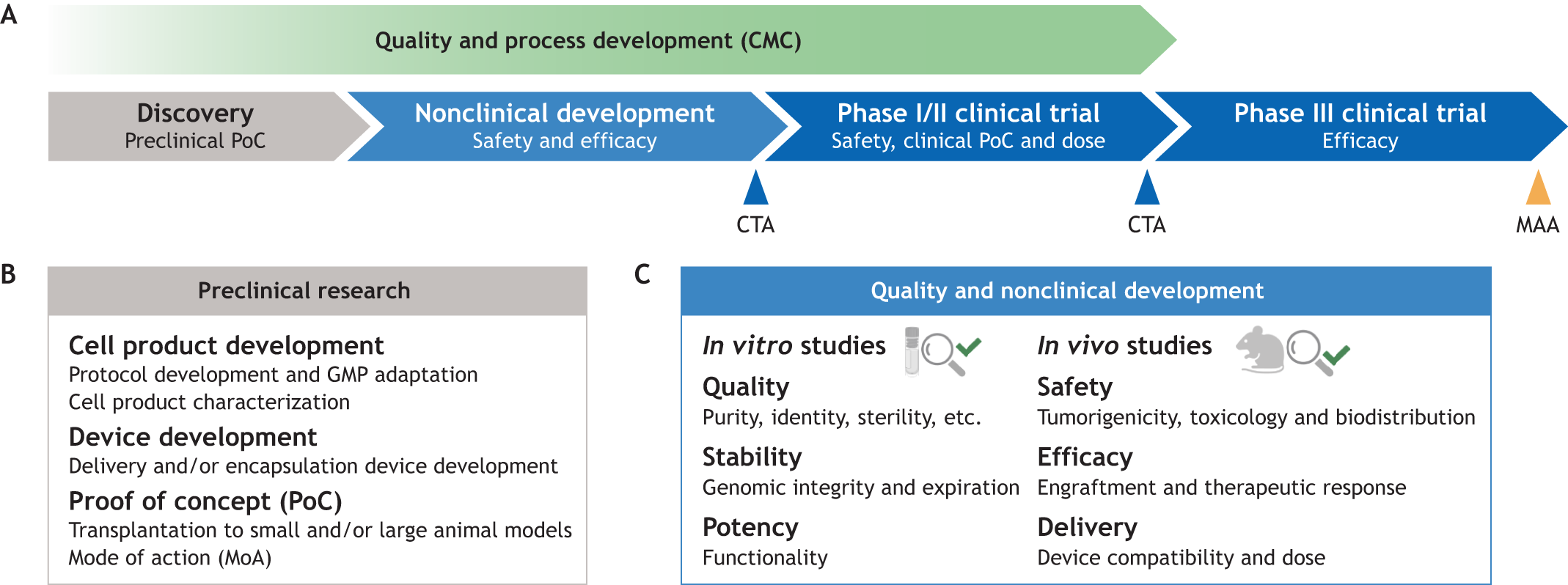 圖1:將細胞療法應用于臨床的步驟。 圖1:將細胞療法應用于臨床的步驟。