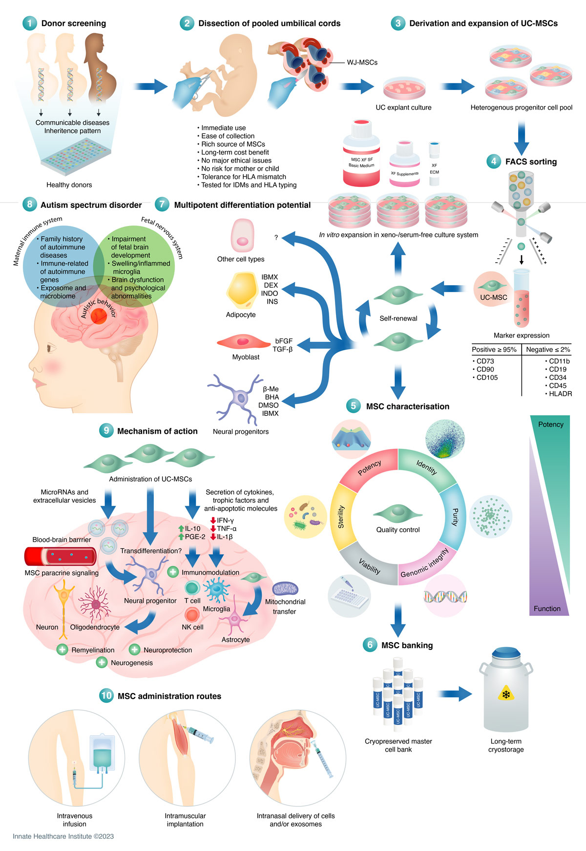 干細胞采集過程是什么樣的？干細胞如何移植治療自閉癥？