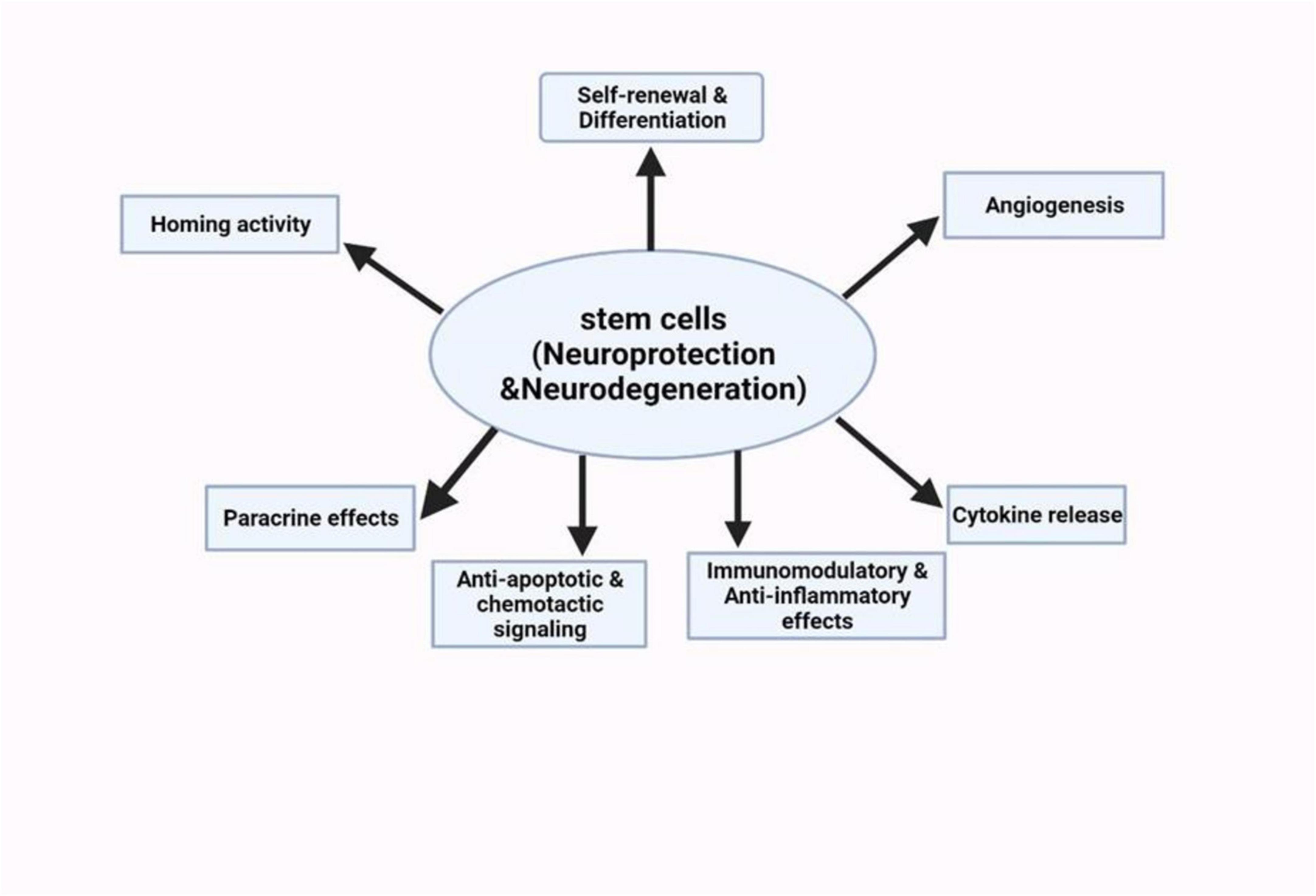 圖5：干細胞療法對神經系統(tǒng)疾病的神經保護潛力的示意圖