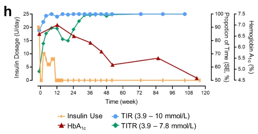 116周期間 TITR、TIR 和 HbA1c 以及胰島素劑量的臨床測量值